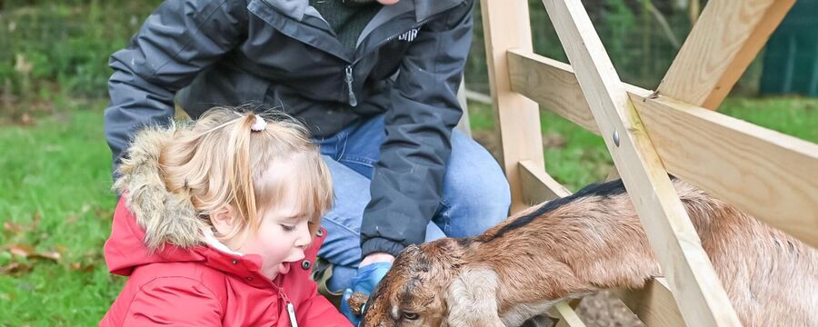 Toddlerâ€™s living their best life in Cornwall on this fabulous farm-stayâ€¦ 