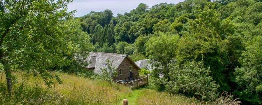 Toddler's Dream, farm cottages in Devon