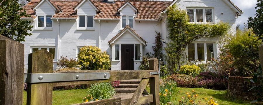 Four family-friendly holiday cottages in the New Forest