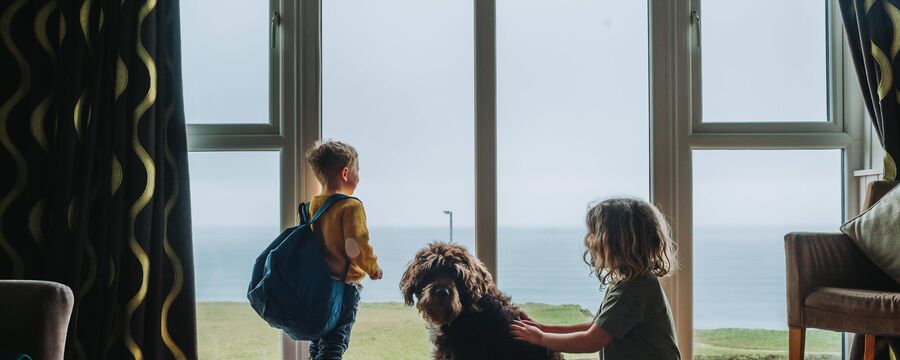 Family holidays with dogs