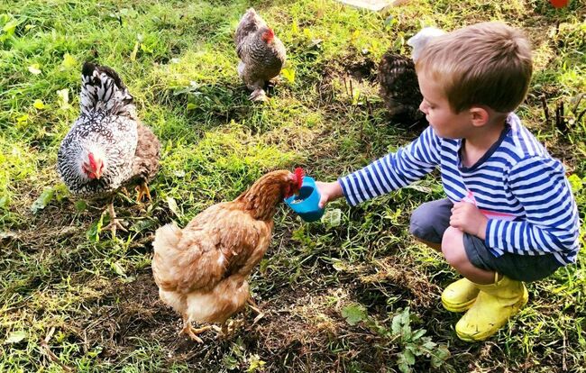 Toddler-Friendly Holiday Cottages in Devon | Farm Stay Experience